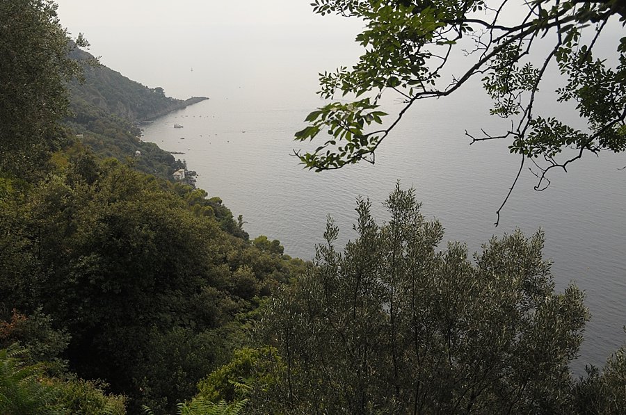 DSC_0818.jpg