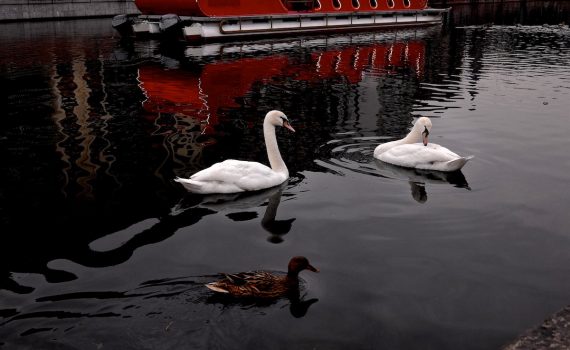 Foto di Martino Buzzi Milano 2018 Leica