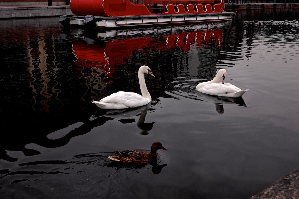 Foto di Martino Buzzi Milano 2018 Leica